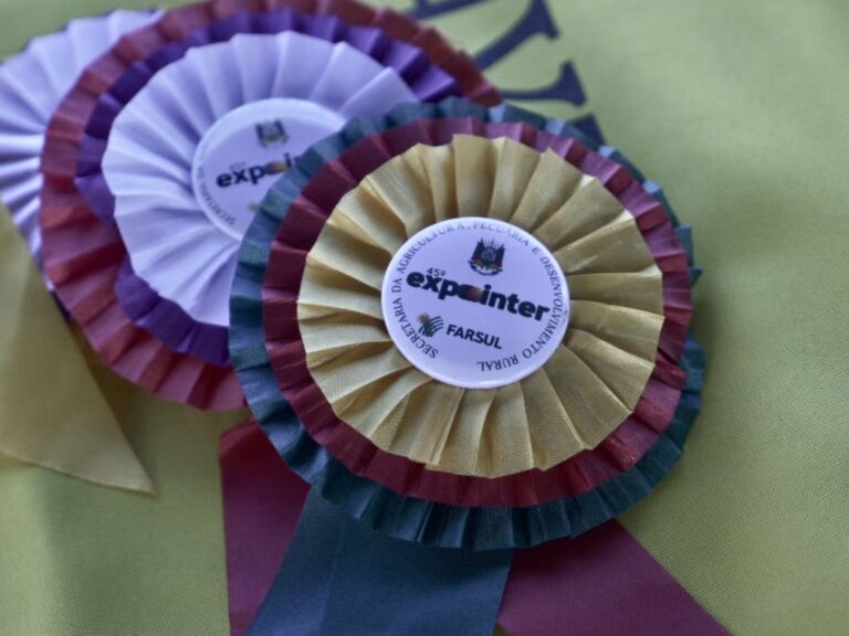 Programação da Expointer 2023 celebra 60 anos da Associação Brasileira de Angus e 20 anos do Programa Carne Angus Certificada