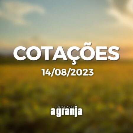 Cotações do dia: boi gordo, soja e milho