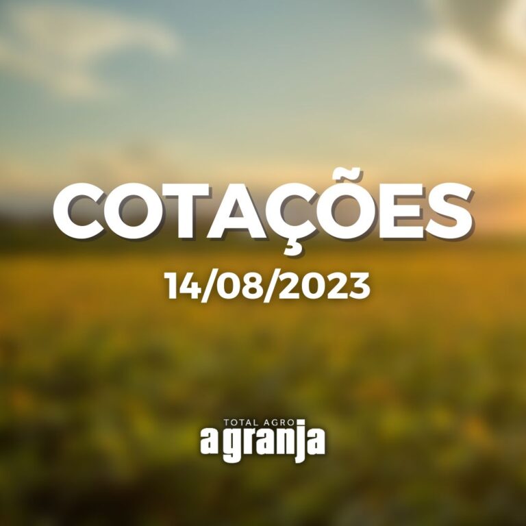 Cotações do dia: boi gordo, soja e milho