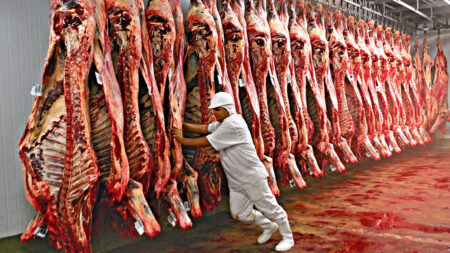 Brasil fatura 29% menos com exportações de carne bovina