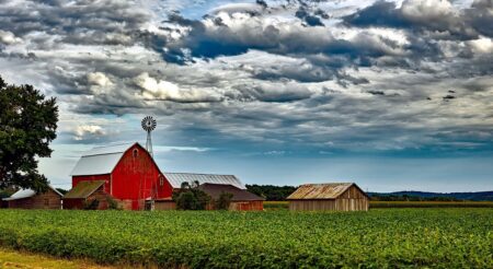 Soja: clima satisfatório nas lavouras americanas pressiona Chicago para baixo