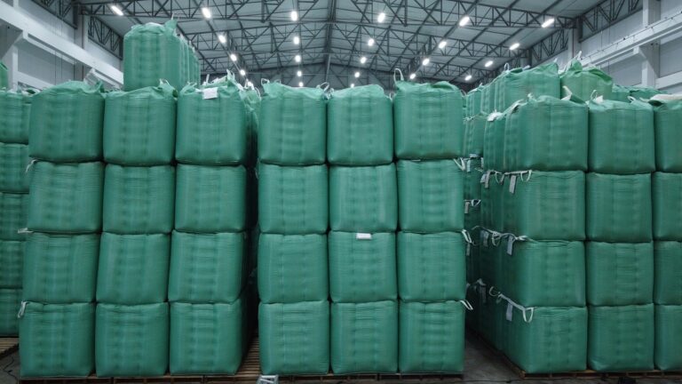 Novo centro de distribuição vai reduzir tempo de logística com sementes em MT