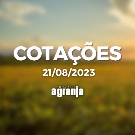 Cotações do dia: boi gordo, soja e milho