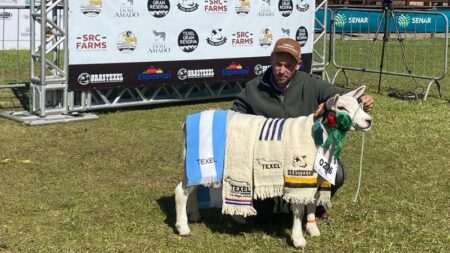 A trajetória dos grandes campeões