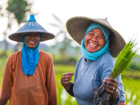 Arroz: Indonésia deve superar safra 2022/23