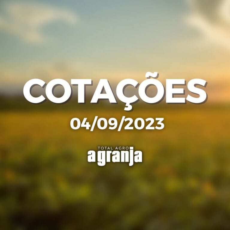 Cotações do dia 04/09: boi gordo, soja e milho
