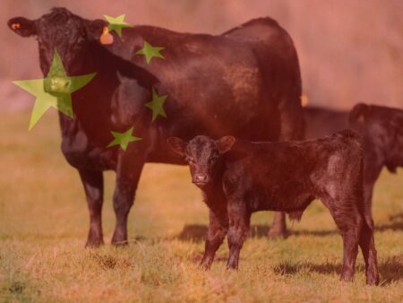 China paga cada vez menos pela carne do Brasil
