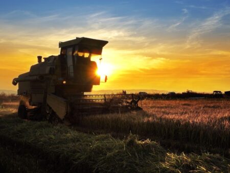 Agro tem diversas oportunidades de investimentos
