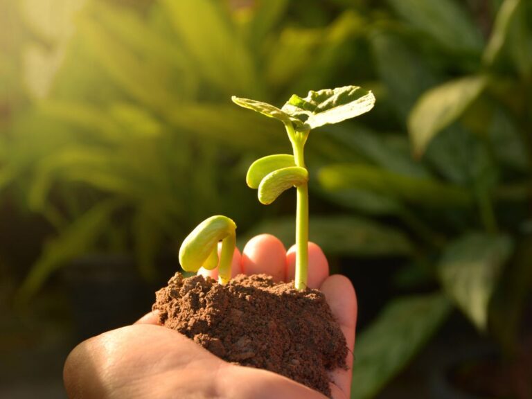 Precisão em proteção de plantas