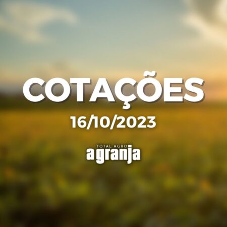 Cotações: estouro da manada, recuo da soja e aumento do milho