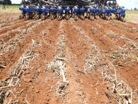 Clima já prejudica o plantio da soja