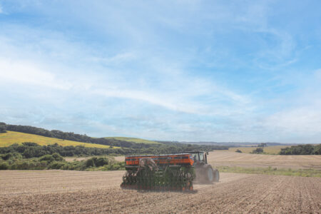 Clima adverso não segura o ritmo de plantio da soja no Brasil