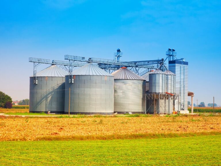 Capacidade de armazenagem cresce 4,8%, diz IBGE