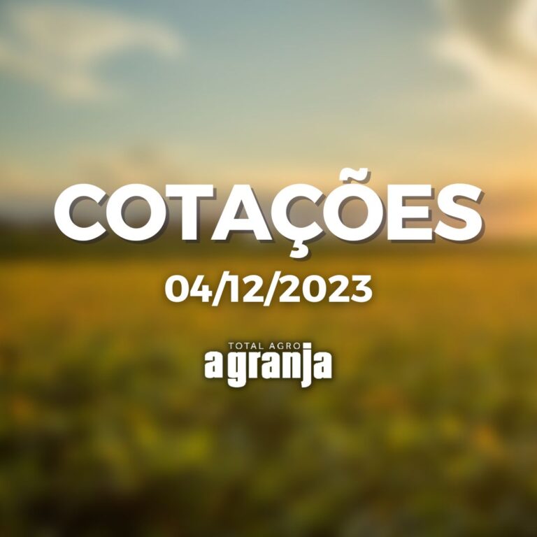 Cotações de 04/12/2023: boi gordo, soja e milho