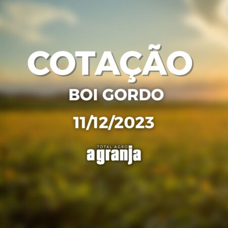 Cotação do boi gordo de 11/12/2023