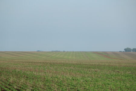 Soja: quebra da safra do MT é de uma em cinco sacas