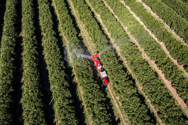 Subsídios agrícolas: Brasil x mundo