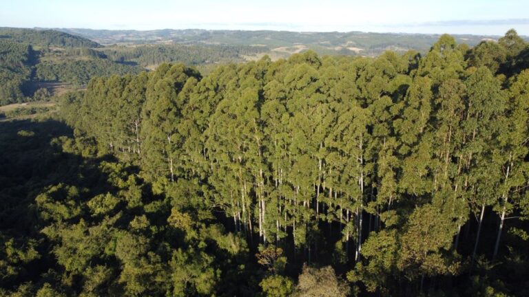 Exportações do agro aumentam e ganham mais participação nos embarques totais