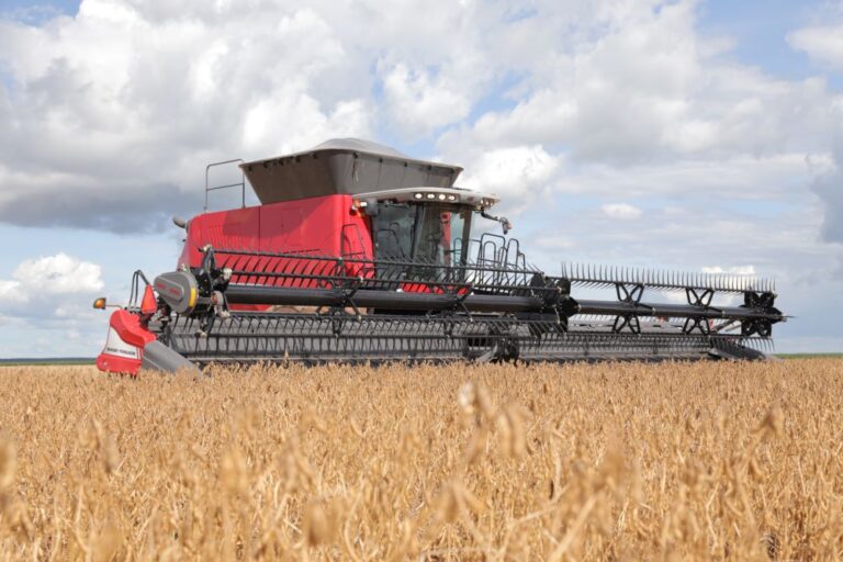 El Niño leva safra 2023/24 a encolher 20 milhões de toneladas em relação ao ciclo anterior