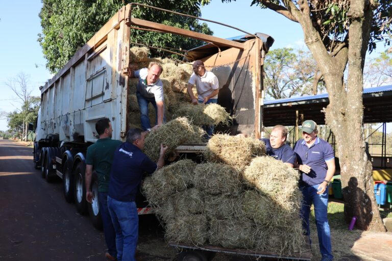 Emater/RS-Ascar mobiliza ações pela reconstrução dos produtores gaúchos