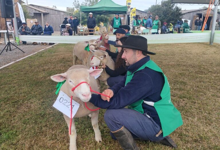Fenovinos conhece seus campeões