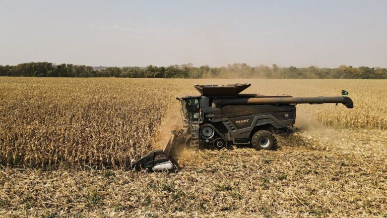 Colheita da safrinha de milho segue bastante avançada