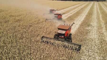 Colheita acelerada da safrinha ajuda a pressionar o milho