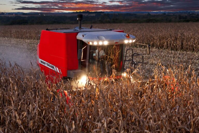 Milho: colheita bastante adiantada da safrinha no MT já pressiona armazenagem