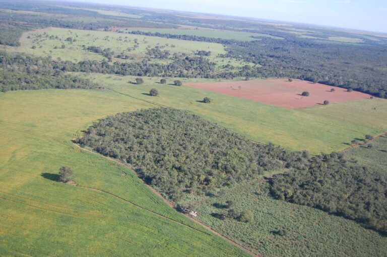 Congresso analisa abertura de CPI para investigar Ongs na Moratória da Soja