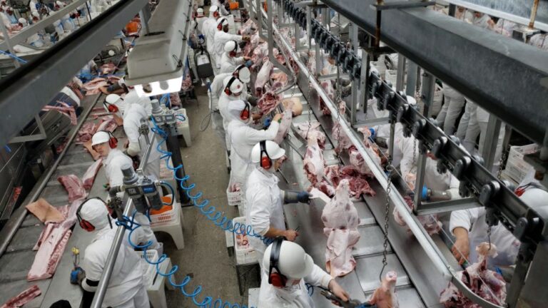 Boas perspectivas para exportações de carne suína em julho e no ano