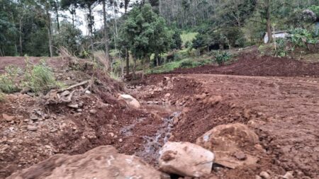 Publicado decreto que regulamenta a renegociação de dívidas de produtores gaúchos