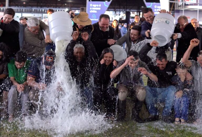 110 kg/24 horas: vencedora do Concurso Leiteiro da raça Holandesa bate recorde estadual