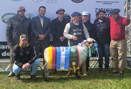 Os últimos campeões das raças ovinas da Expointer 2024