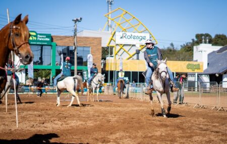 Expointer promove eventos de animais como leilões e concursos em todos os dias