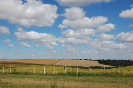 Governo publica MP para desconto e renegociação de dívidas de produtores gaúchos