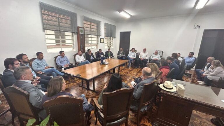 Dificuldades em acessar recursos federais discutidas em reunião do Movimento SOS Agro RS com lideranças