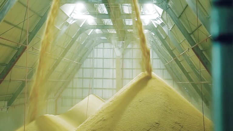 Uruguaiana terá usina termelétrica de casca de arroz