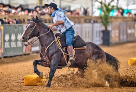 Cavalo Crioulo ultrapassa os R$ 16 milhões em vendas na Expointer e teve um recorde