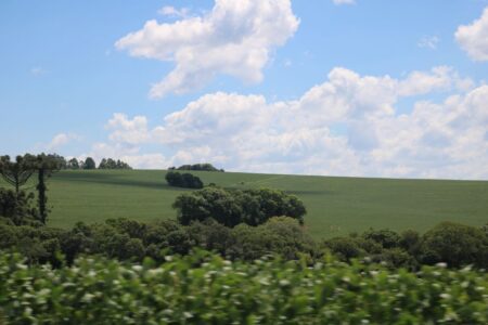 Como será o clima da primavera para a agricultura gaúcha