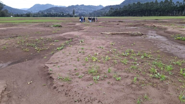 Trabalho aborda a reconstrução de solos devastados pela enchente no Rio Grande do Sul