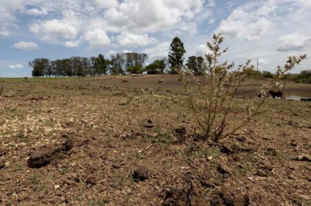 Lula veta adiamento de parcelas de dívidas rurais de atingidos por seca ou inundação