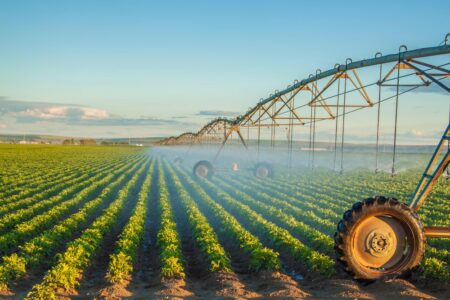 Agricultura brasileira só irriga 16% da área que poderia