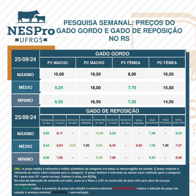 Gado gordo no RS com aumentos, reflexos das exportações brasileiras