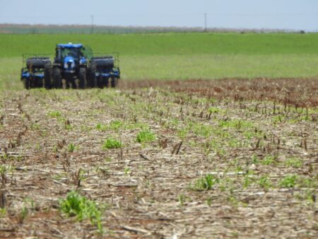 Com atraso, safra 2024/25 já foi 0,5% semeada