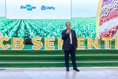 RS utiliza 56% de sementes de soja não-certificadas