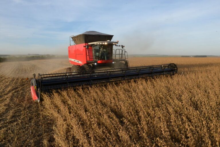 Produtores já venderam um quarto da nova safra de soja