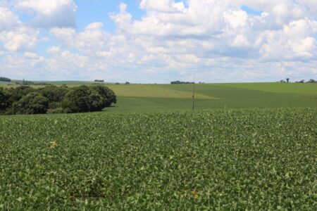 Nova safra gaúcha de soja terá menos tecnologia, avalia a Aprosoja-RS