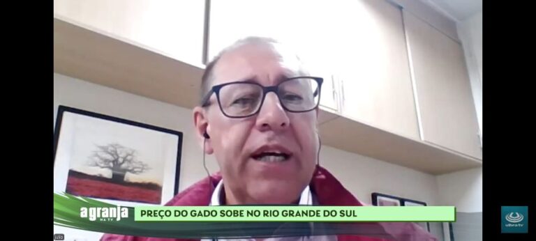Por que o preço do gado está subindo tanto? Especialista da UFRGS explica