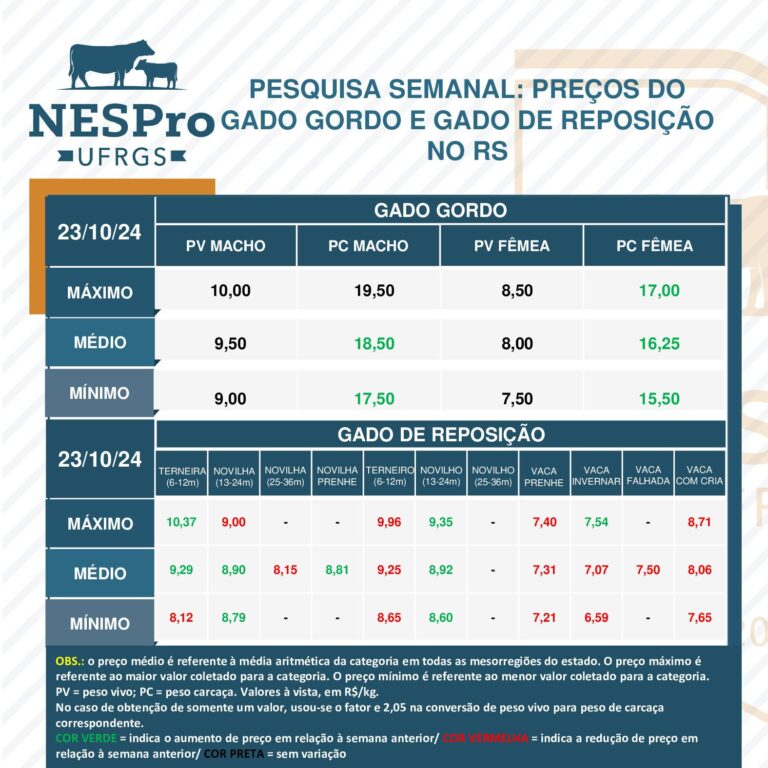 Boi gordo no RS: aumento na modalidade a rendimento de carcaça