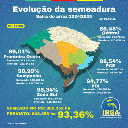 Só faltam 63 mil hectares para a semeadura do arroz ser finalizada no RS